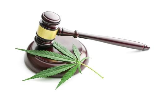 Cannabis Lawyer Washington DC – Navigating the Gauntlet of Laws and Regulations